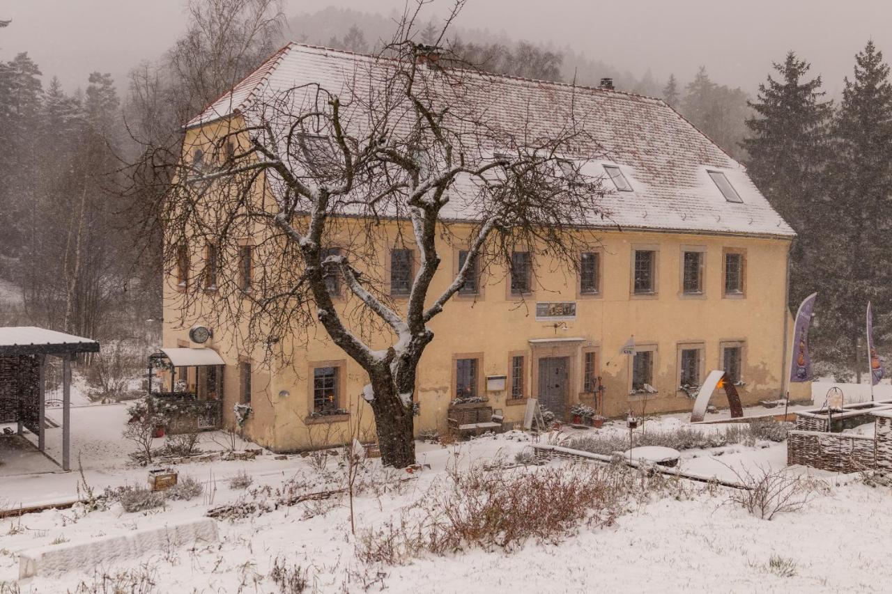 Holzwerk Oybin Apartment Exterior foto