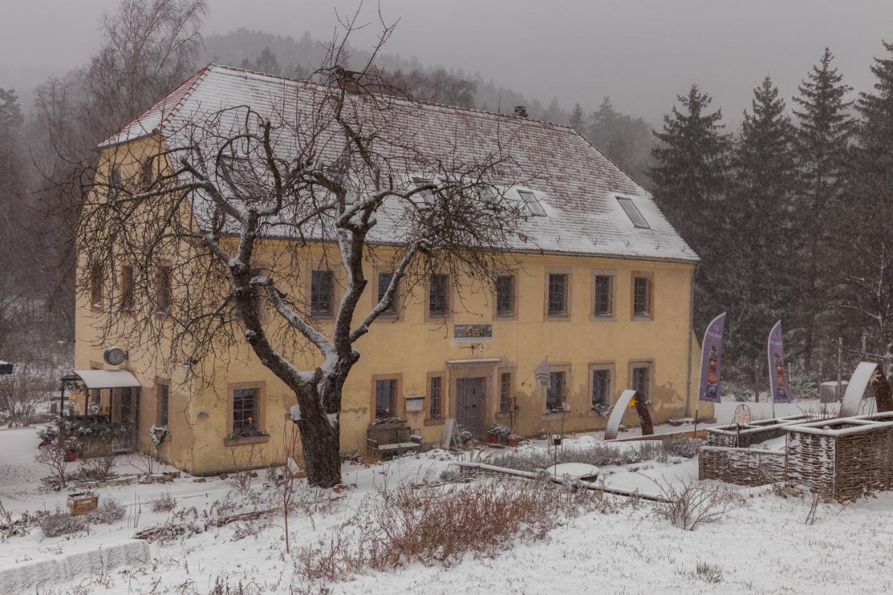 Holzwerk Oybin Apartment Exterior foto